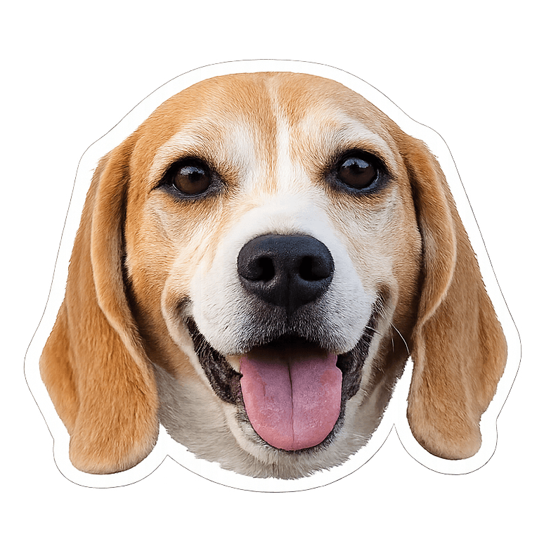 Odie happy