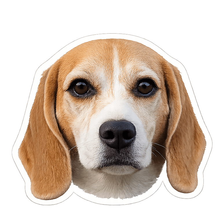 Odie